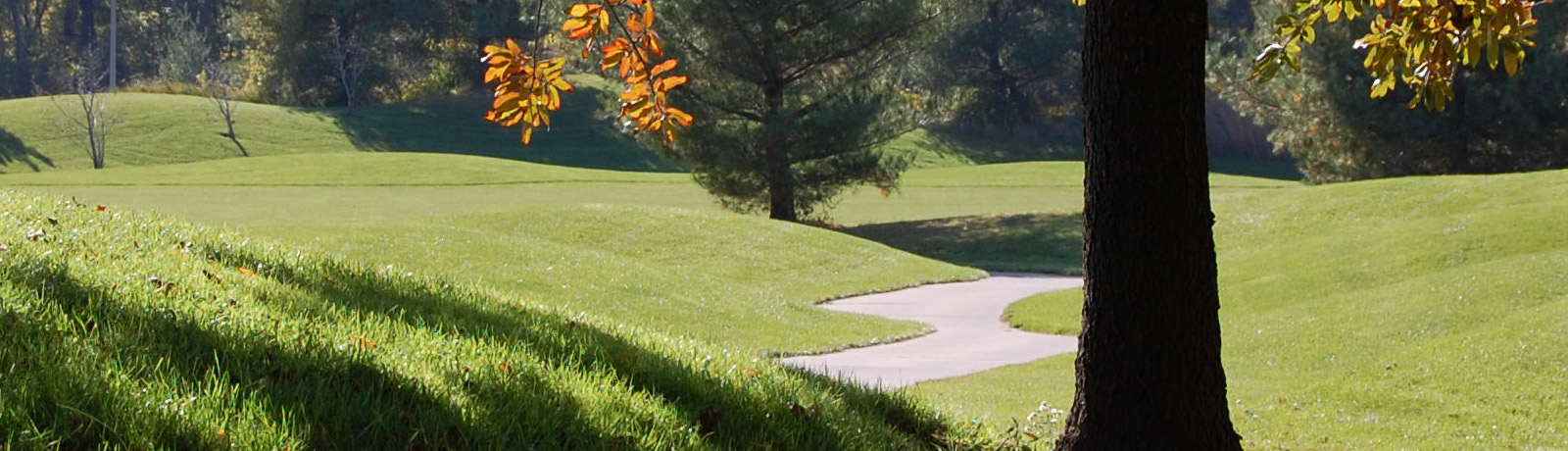 multi use trail